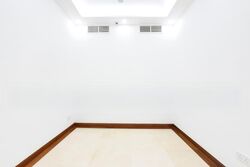 Nassim Jade (D10), Condominium #539696971